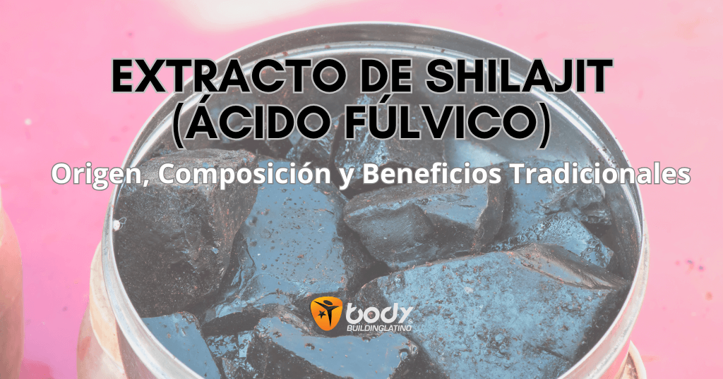 Extracto de Shilajit de ácido fúlvico, suplemento natural rico en minerales y antioxidantes.