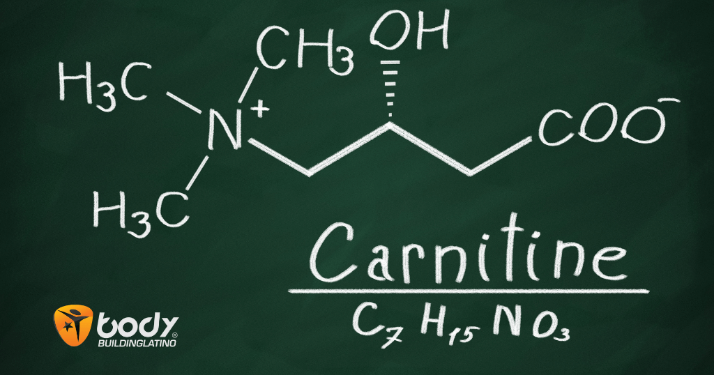 Oro líquido: 5 beneficios de la carnitina líquida que no puedes ignorar