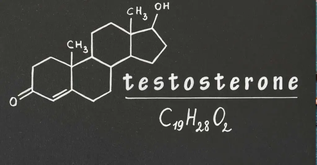 4-Best-Natural-Testosterone-Boosters2-1